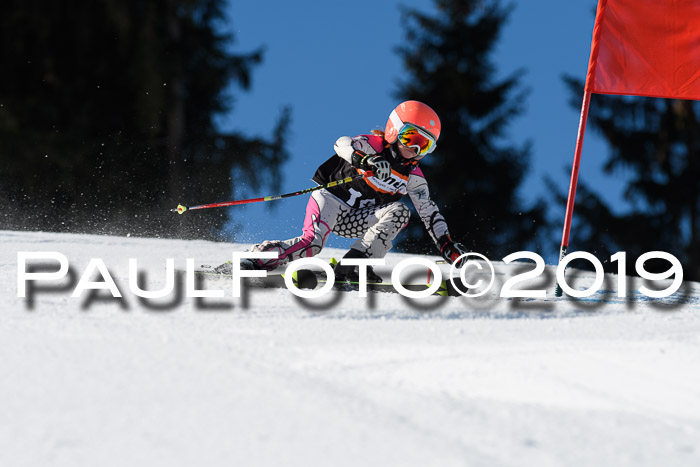 Ziener Cup WF, RS, 24.02.2019