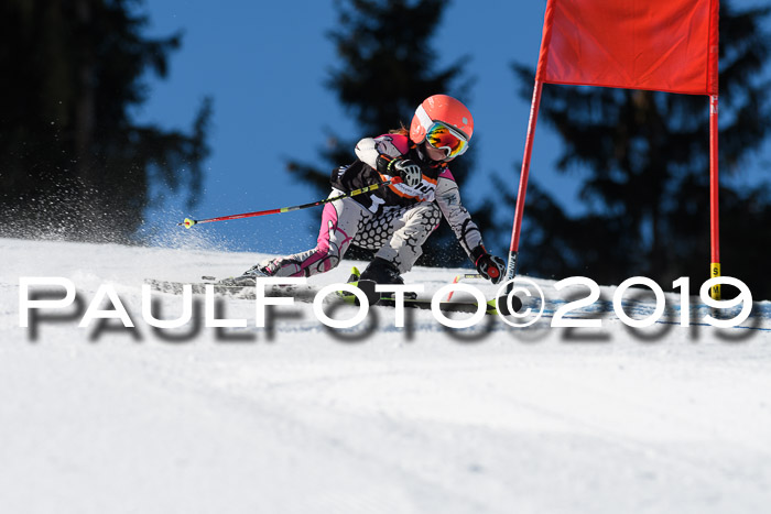 Ziener Cup WF, RS, 24.02.2019