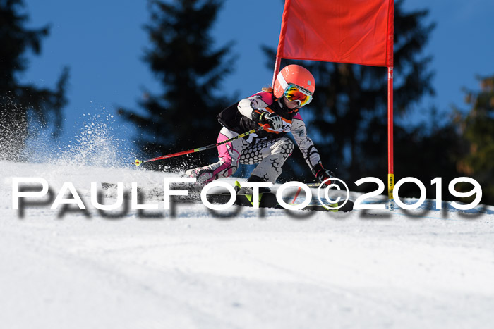 Ziener Cup WF, RS, 24.02.2019