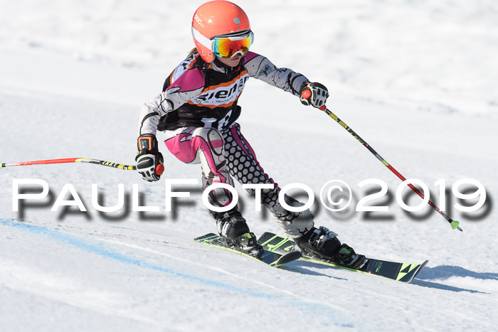 Ziener Cup WF, RS, 24.02.2019