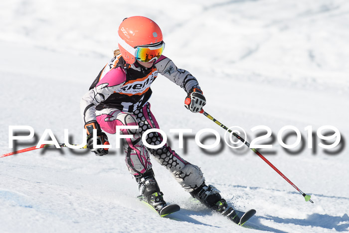 Ziener Cup WF, RS, 24.02.2019