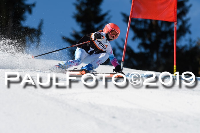 Ziener Cup WF, RS, 24.02.2019