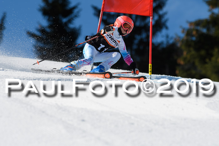 Ziener Cup WF, RS, 24.02.2019