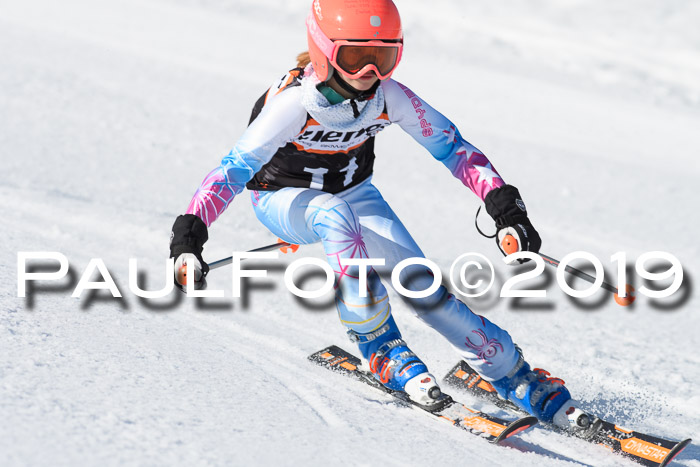 Ziener Cup WF, RS, 24.02.2019