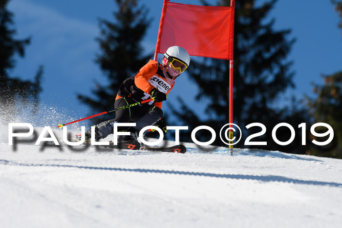 Ziener Cup WF, RS, 24.02.2019