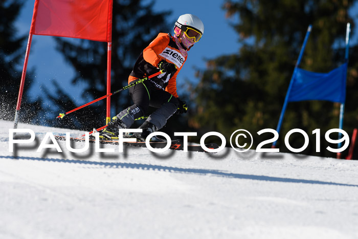 Ziener Cup WF, RS, 24.02.2019