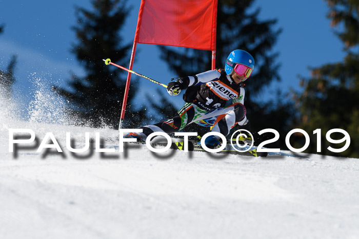 Ziener Cup WF, RS, 24.02.2019
