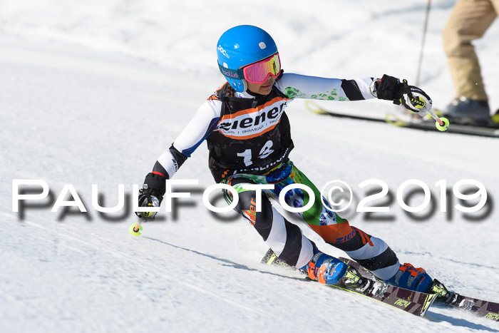 Ziener Cup WF, RS, 24.02.2019