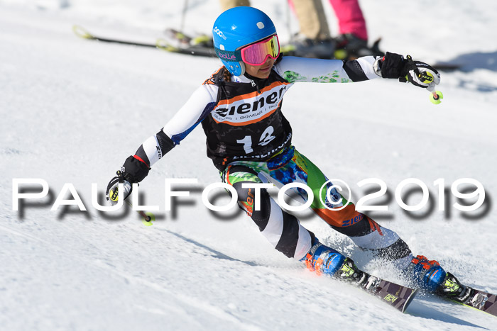 Ziener Cup WF, RS, 24.02.2019