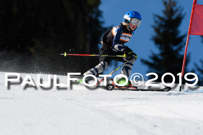 Ziener Cup WF, RS, 24.02.2019