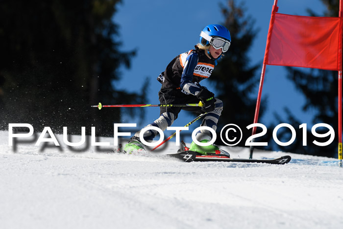 Ziener Cup WF, RS, 24.02.2019