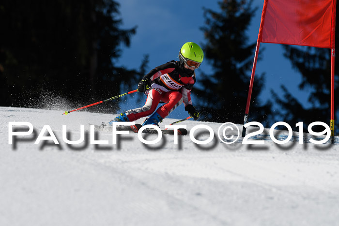 Ziener Cup WF, RS, 24.02.2019