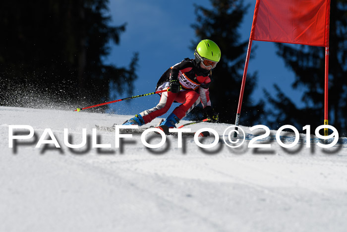 Ziener Cup WF, RS, 24.02.2019