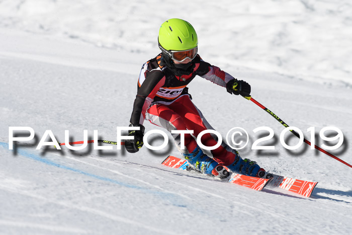 Ziener Cup WF, RS, 24.02.2019
