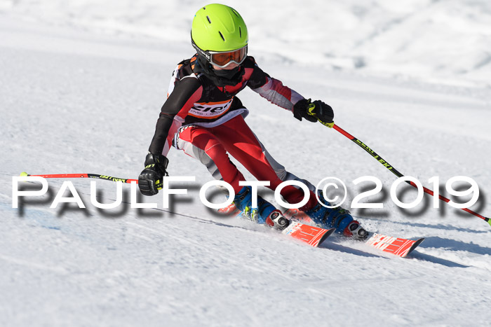Ziener Cup WF, RS, 24.02.2019