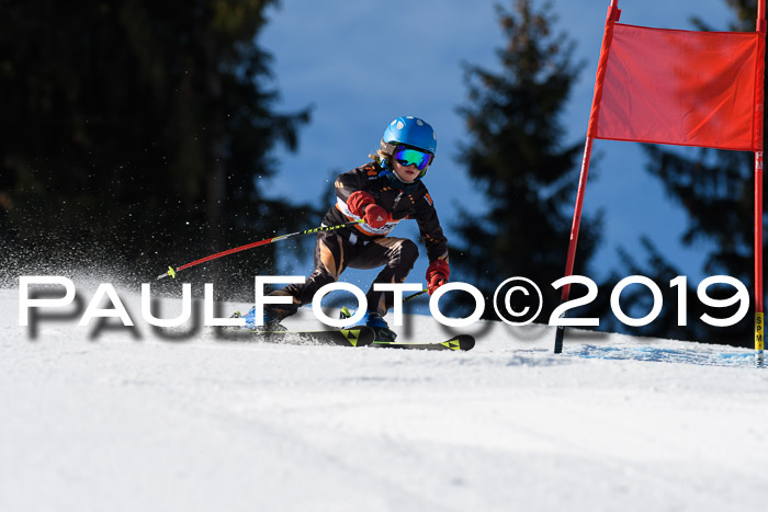 Ziener Cup WF, RS, 24.02.2019