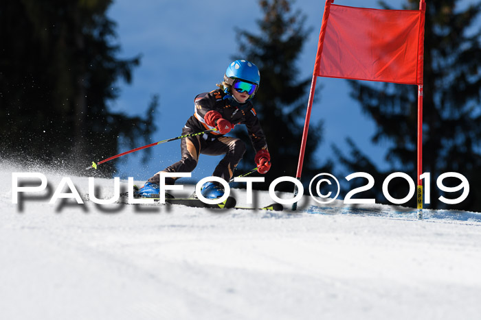 Ziener Cup WF, RS, 24.02.2019