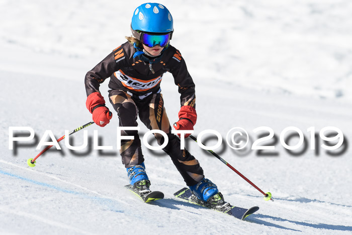 Ziener Cup WF, RS, 24.02.2019