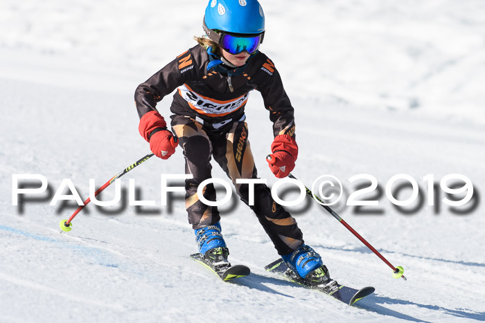 Ziener Cup WF, RS, 24.02.2019