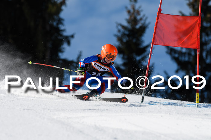 Ziener Cup WF, RS, 24.02.2019