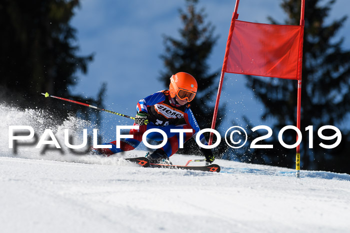 Ziener Cup WF, RS, 24.02.2019