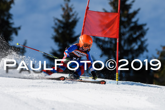 Ziener Cup WF, RS, 24.02.2019