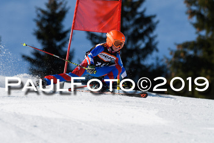 Ziener Cup WF, RS, 24.02.2019