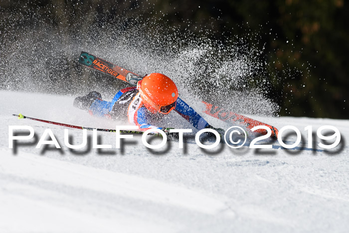 Ziener Cup WF, RS, 24.02.2019