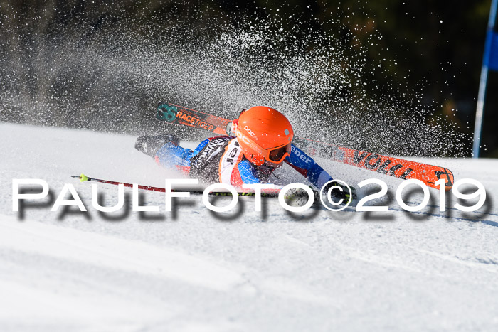 Ziener Cup WF, RS, 24.02.2019