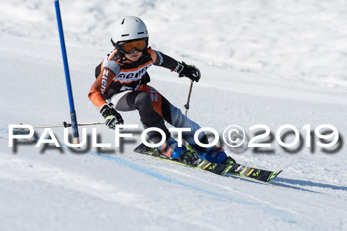 Ziener Cup WF, RS, 24.02.2019
