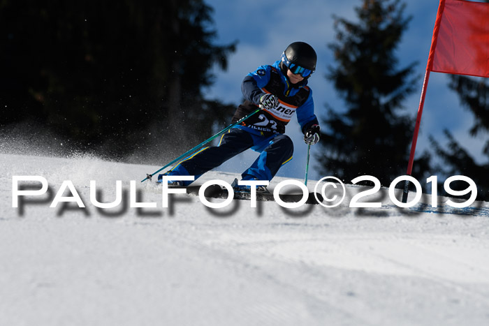 Ziener Cup WF, RS, 24.02.2019