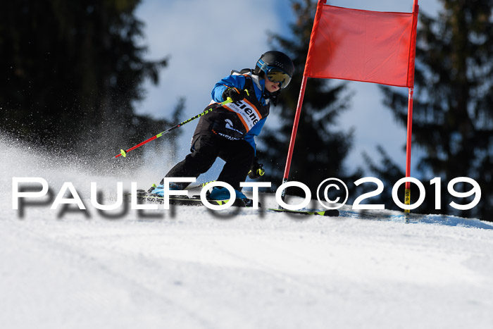 Ziener Cup WF, RS, 24.02.2019