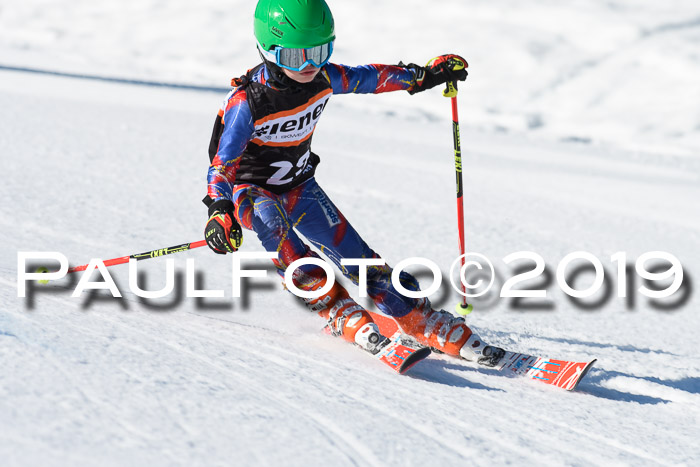 Ziener Cup WF, RS, 24.02.2019