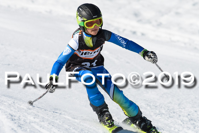 Ziener Cup WF, RS, 24.02.2019