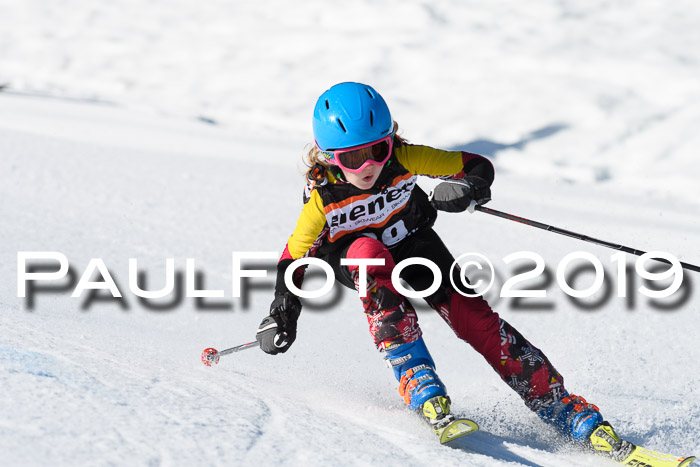 Ziener Cup WF, RS, 24.02.2019