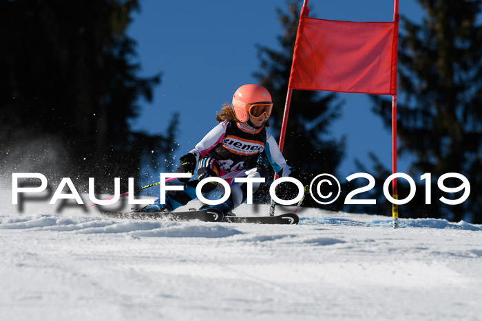 Ziener Cup WF, RS, 24.02.2019