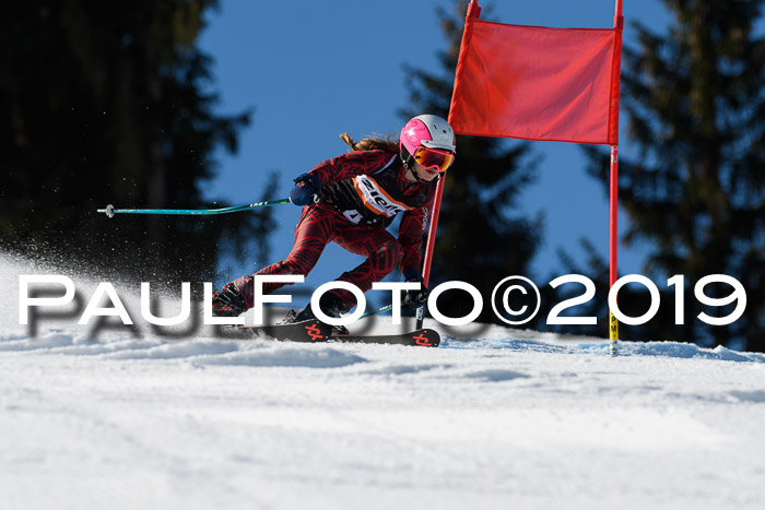 Ziener Cup WF, RS, 24.02.2019