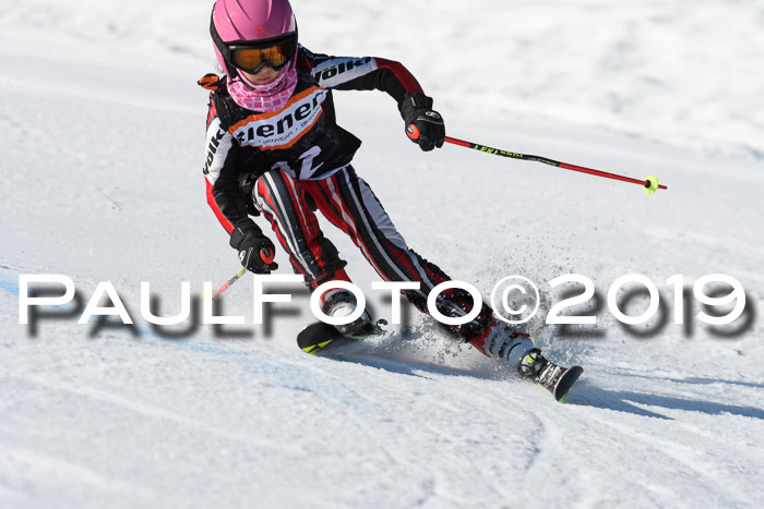 Ziener Cup WF, RS, 24.02.2019