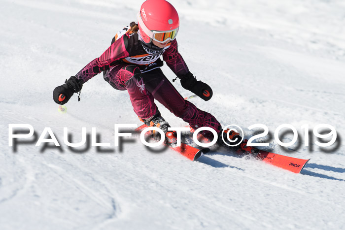 Ziener Cup WF, RS, 24.02.2019