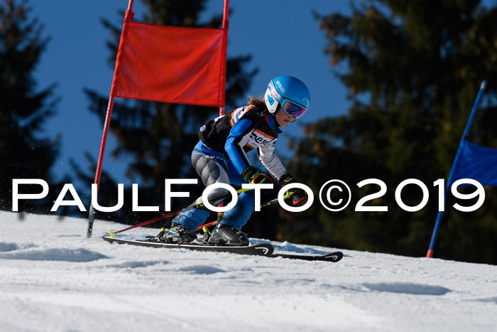 Ziener Cup WF, RS, 24.02.2019