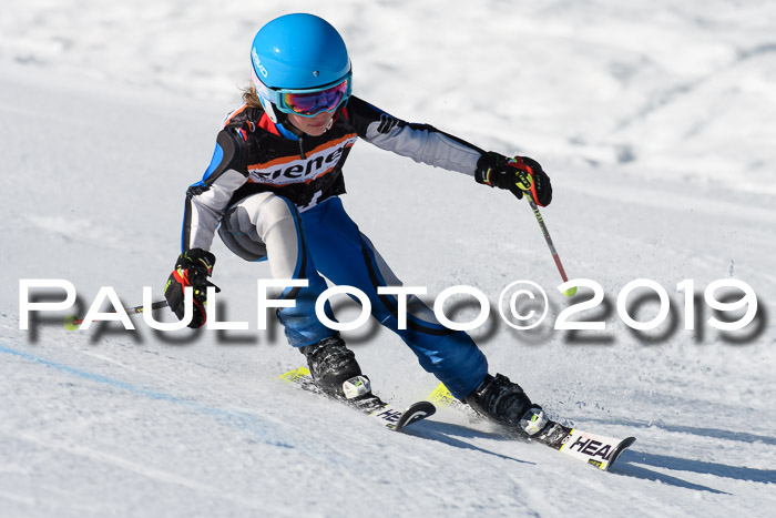 Ziener Cup WF, RS, 24.02.2019