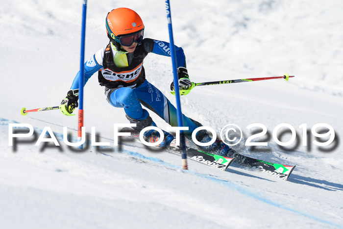 Ziener Cup WF, RS, 24.02.2019