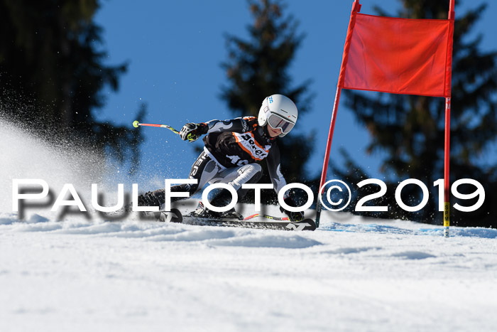 Ziener Cup WF, RS, 24.02.2019