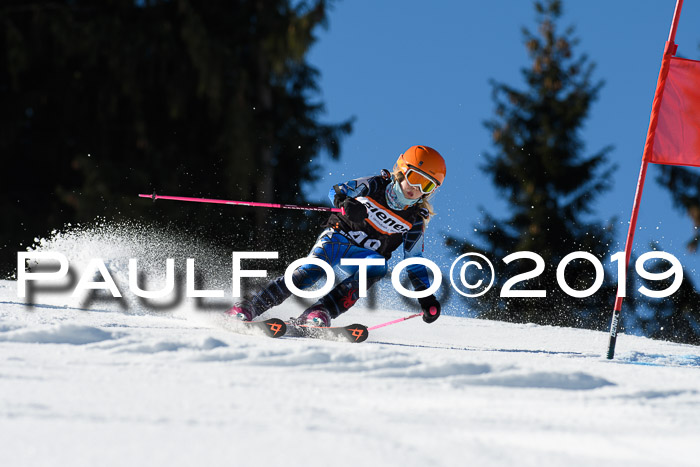 Ziener Cup WF, RS, 24.02.2019