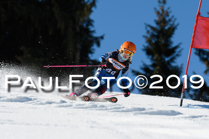 Ziener Cup WF, RS, 24.02.2019