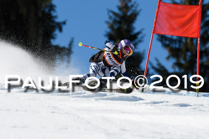 Ziener Cup WF, RS, 24.02.2019