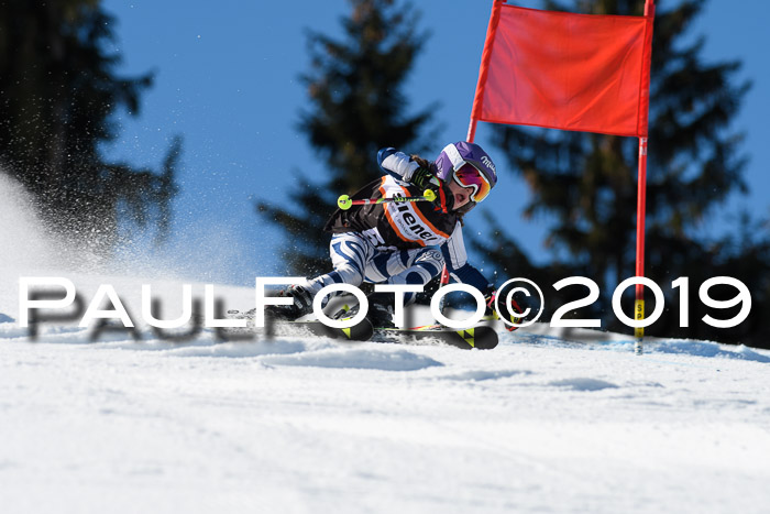 Ziener Cup WF, RS, 24.02.2019