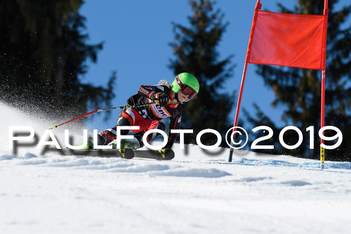 Ziener Cup WF, RS, 24.02.2019