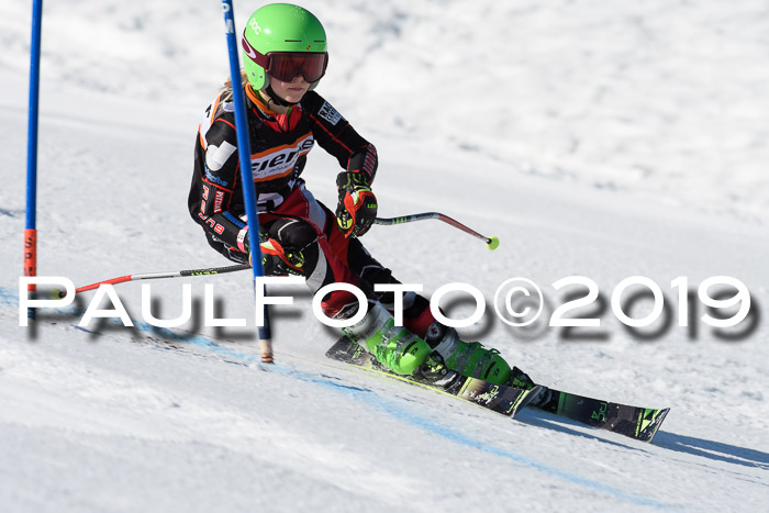 Ziener Cup WF, RS, 24.02.2019