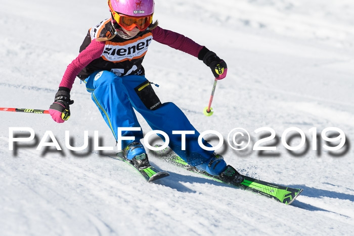 Ziener Cup WF, RS, 24.02.2019